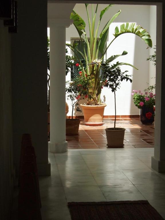 רוטה Casa Atlantica Beautiful Apartments מראה חיצוני תמונה